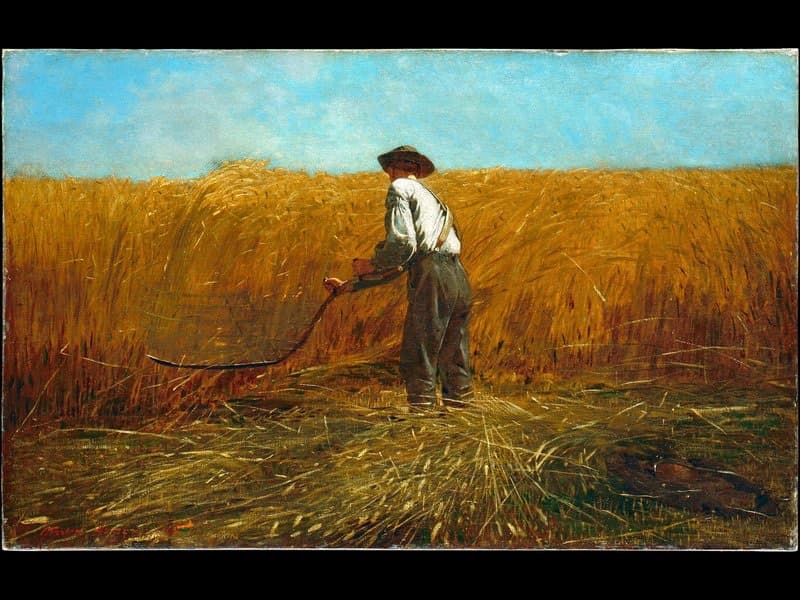The Veteran in a New Field by Winslow Homer